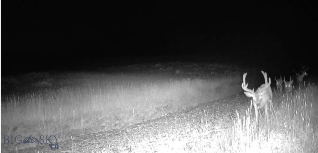 Land/Vacant Land's Image 10
