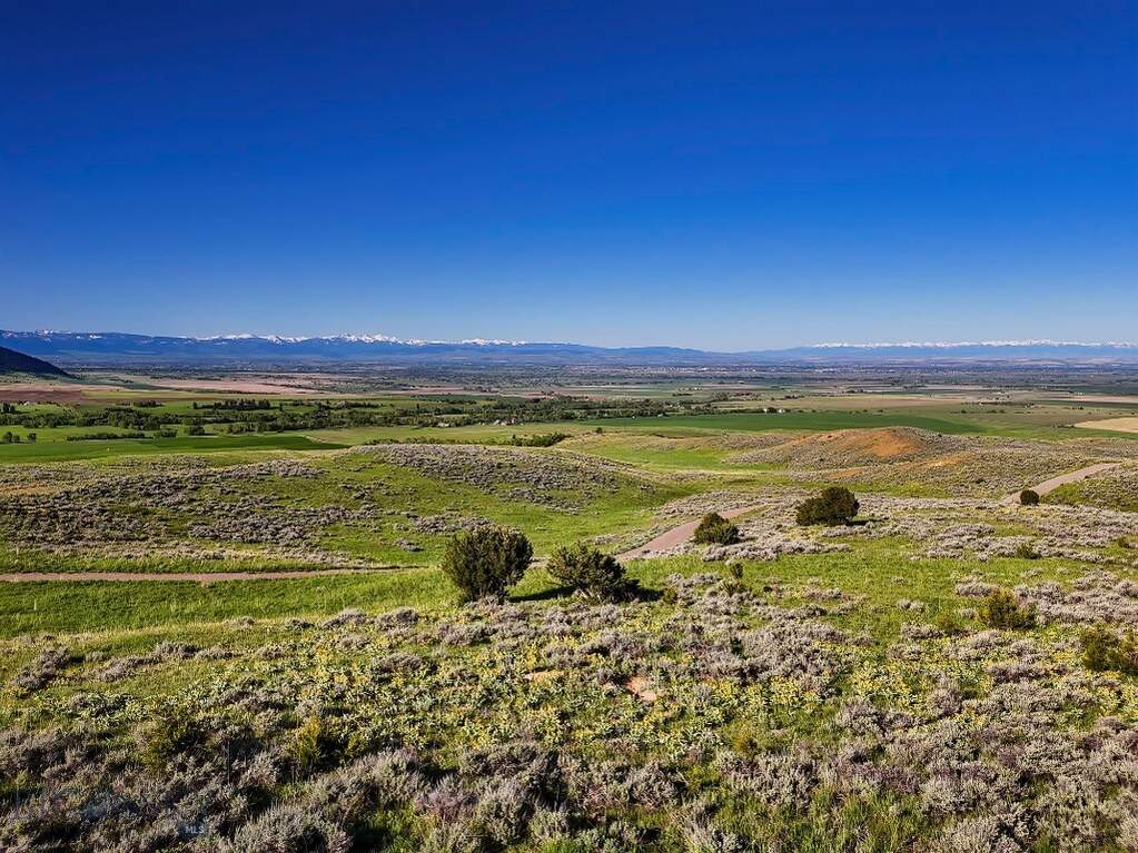 Land/Vacant Land's Image 20