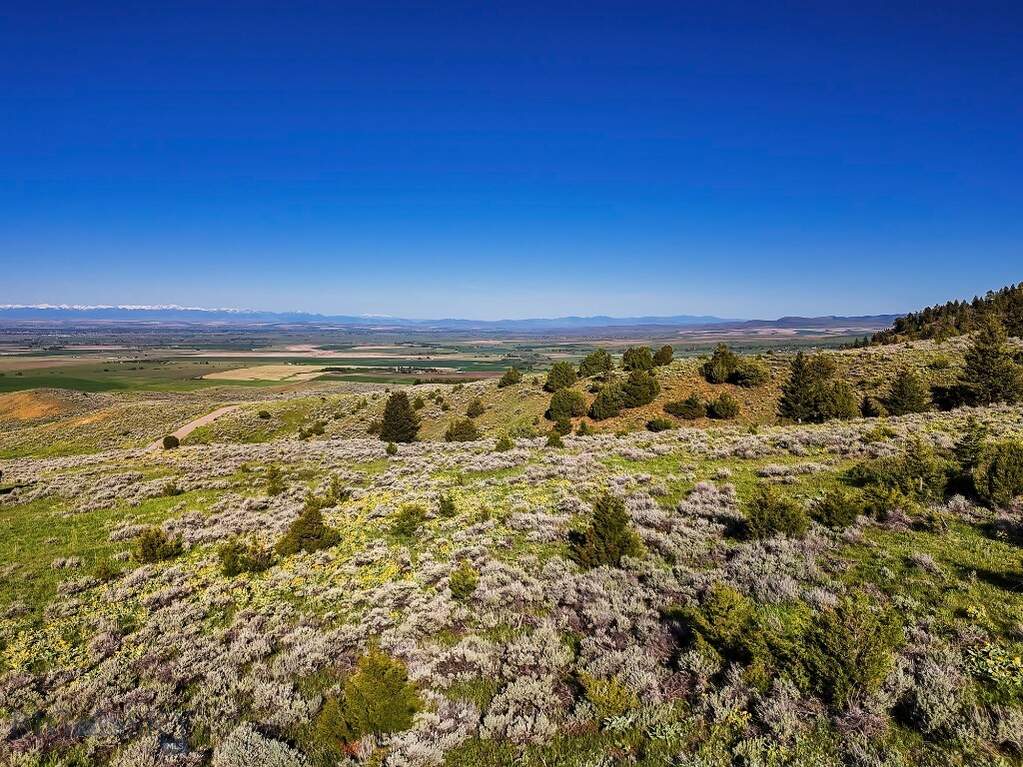 Land/Vacant Land's Image 43