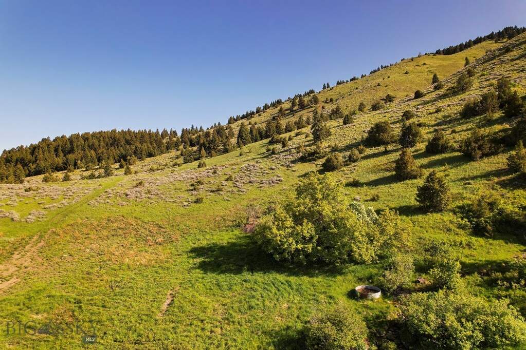 Land/Vacant Land's Image 47