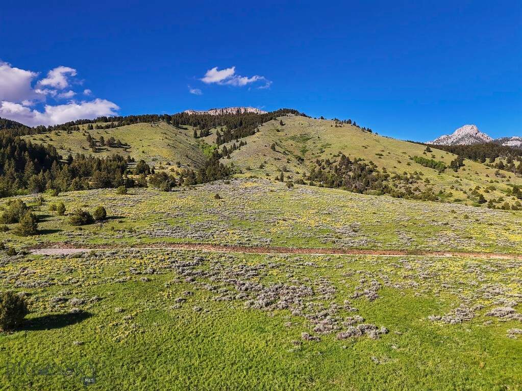 Land/Vacant Land's Image 63