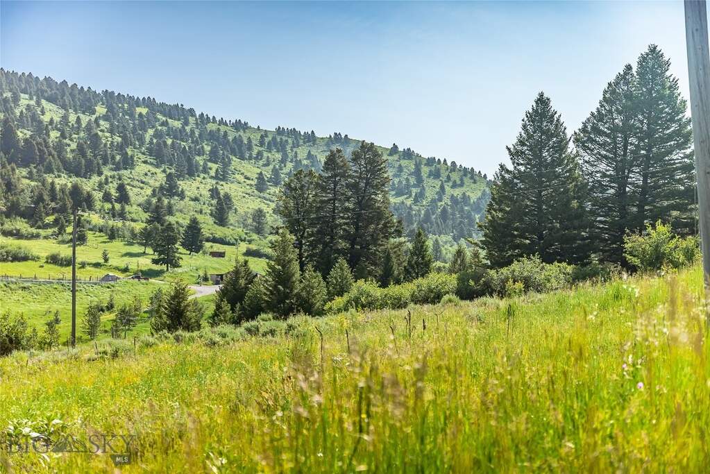 Land/Vacant Land's Image 10