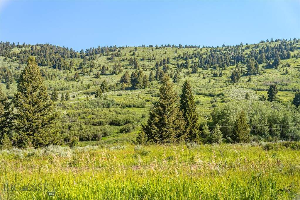 Land/Vacant Land's Image 11
