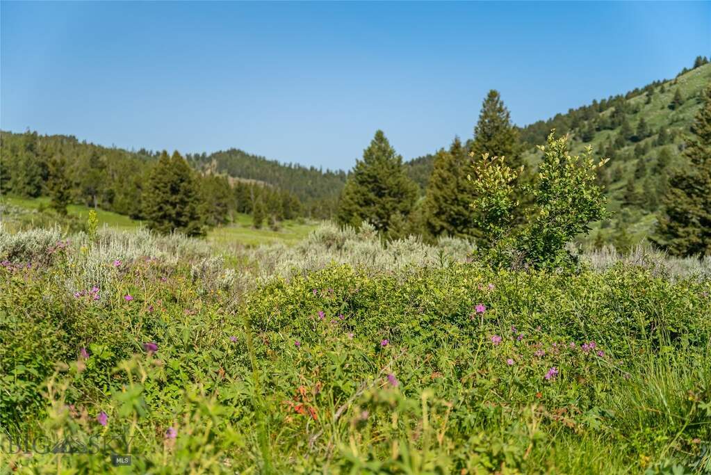 Land/Vacant Land's Image 13