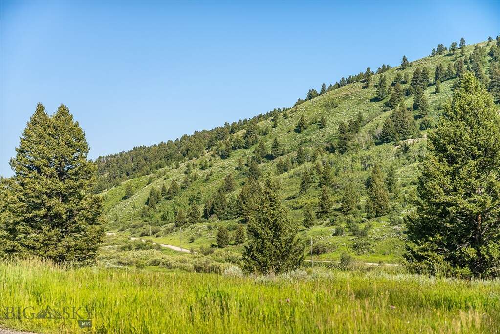 Land/Vacant Land's Image 15