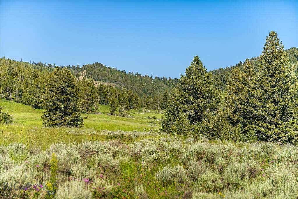 Land/Vacant Land's Image 16