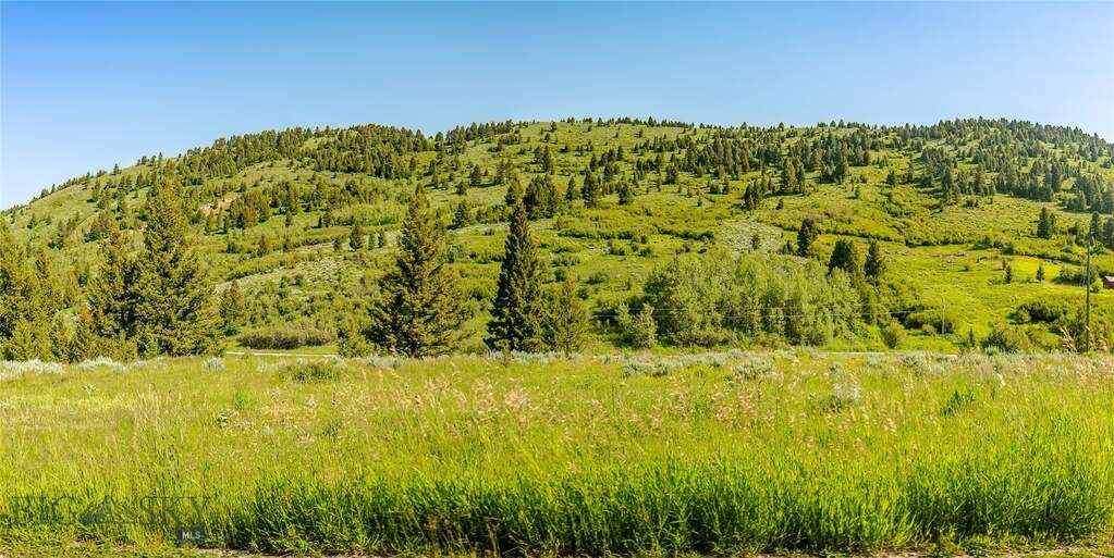 Land/Vacant Land's Image 17