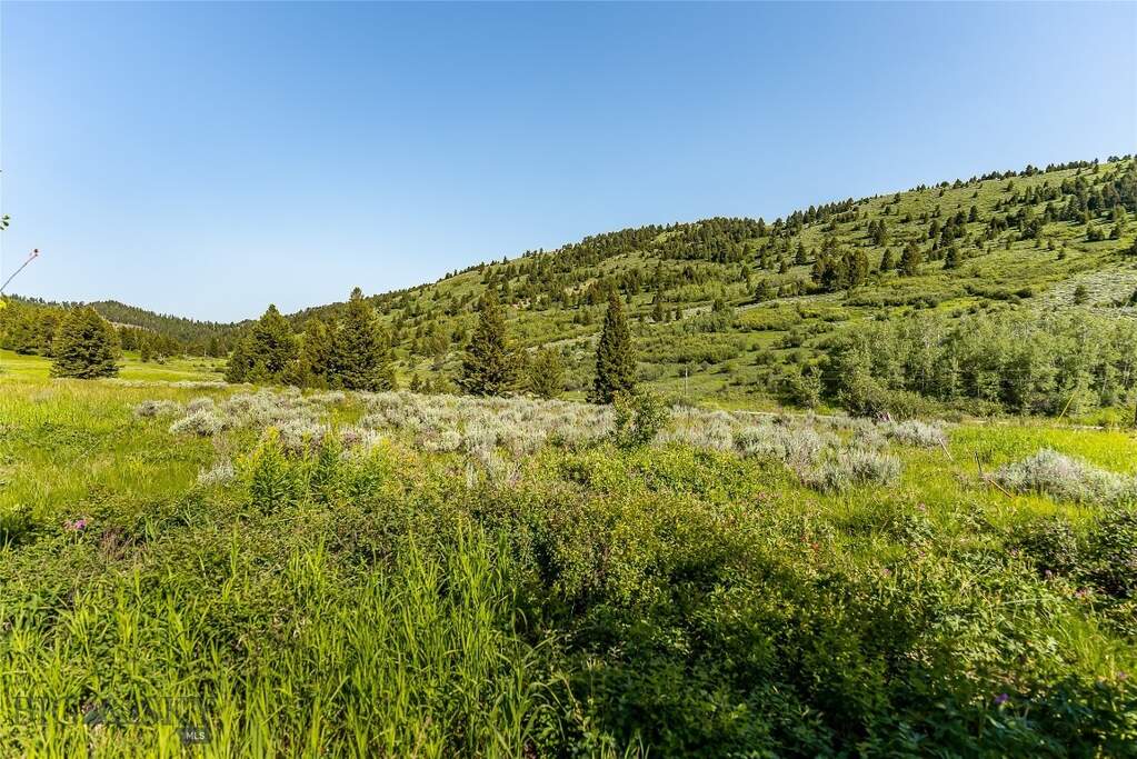 Land/Vacant Land's Image 18