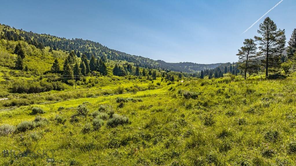 Land/Vacant Land's Image 30