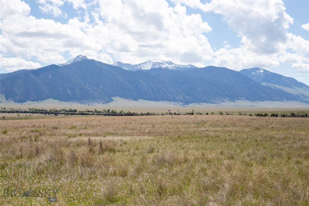 Land/Vacant Land's Image 11