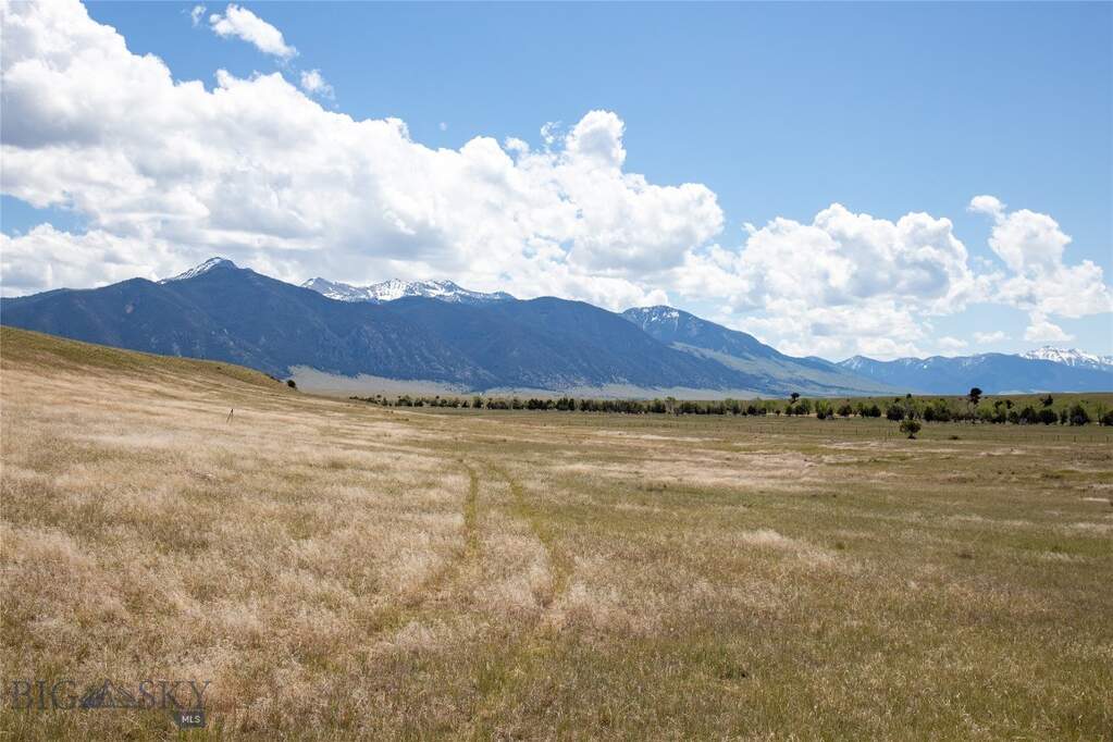 Land/Vacant Land's Image 20