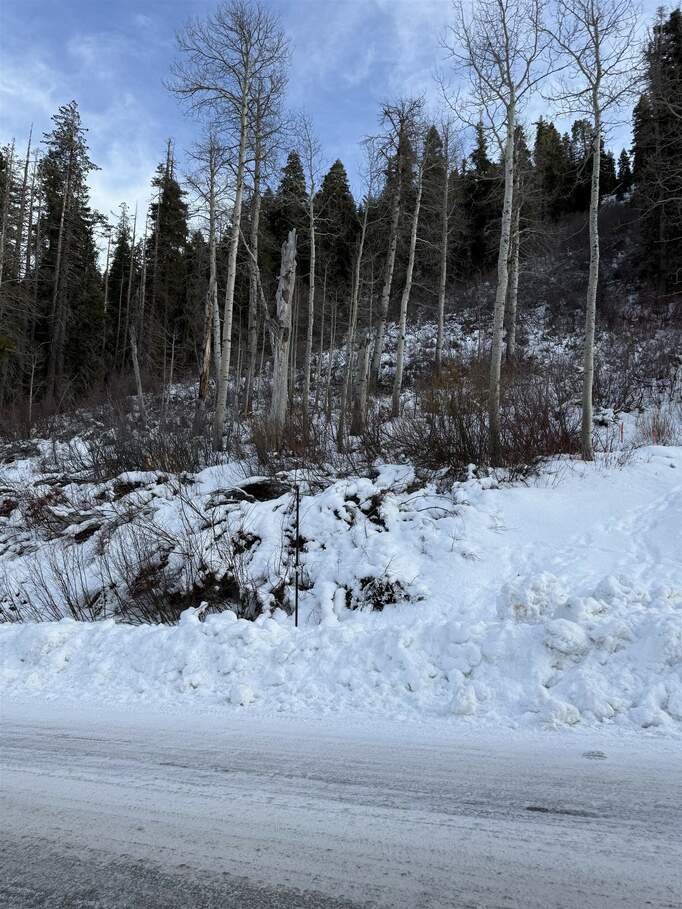 1037 Snow Crest Road, Alpine Meadows, CA 96146