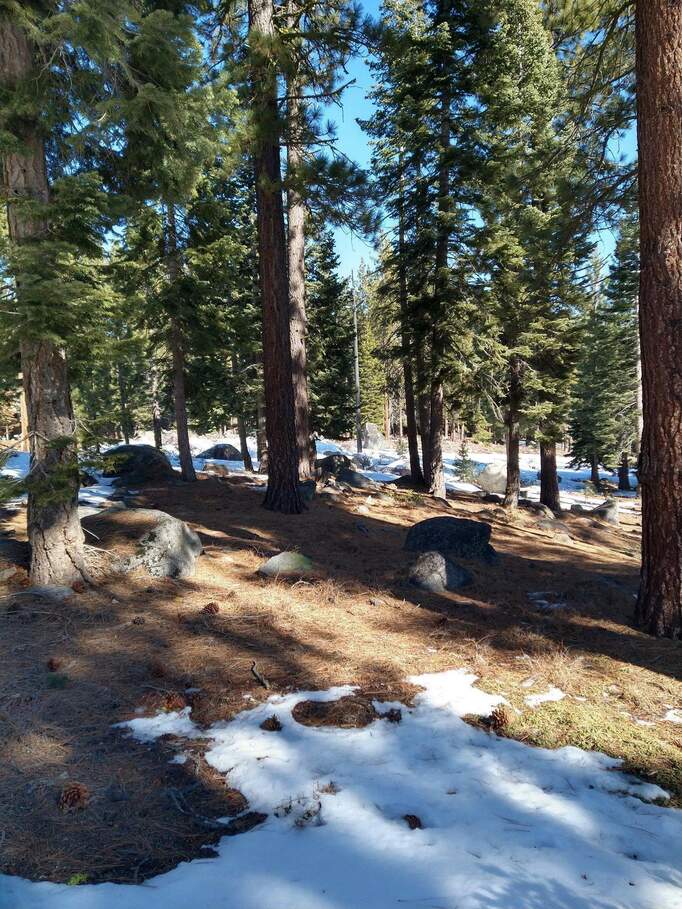 10734 Passage Place, Truckee, CA 96161