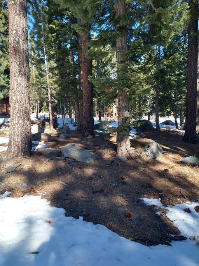 10734 Passage Place, Truckee, CA 96161