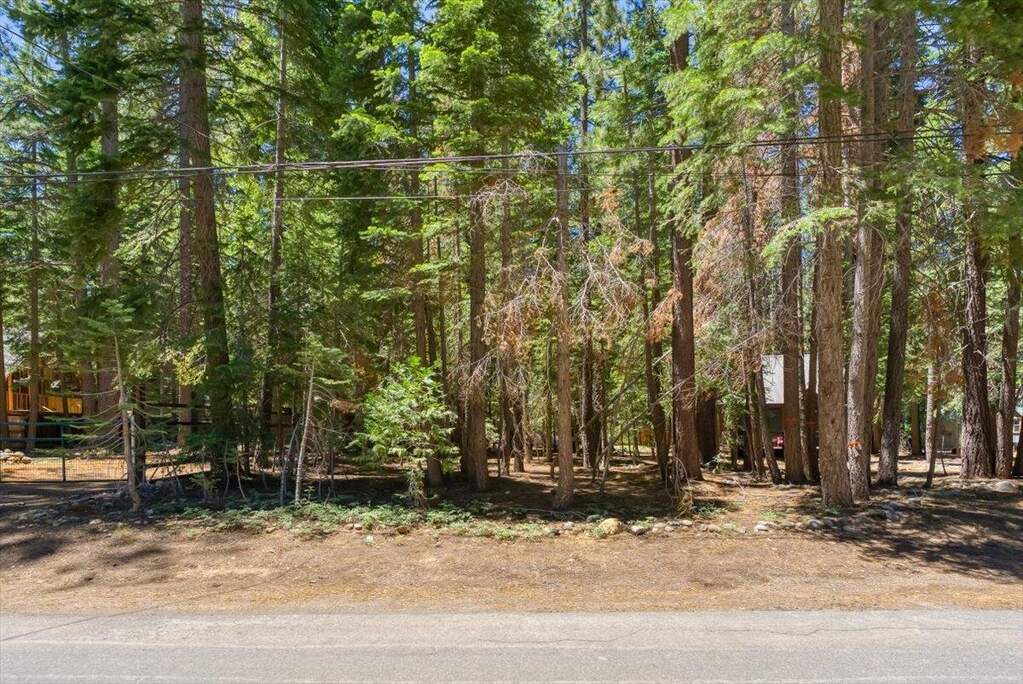 7234 3rd Avenue photo