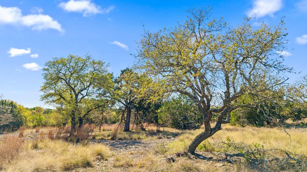 Land/Vacant Land's Image 11