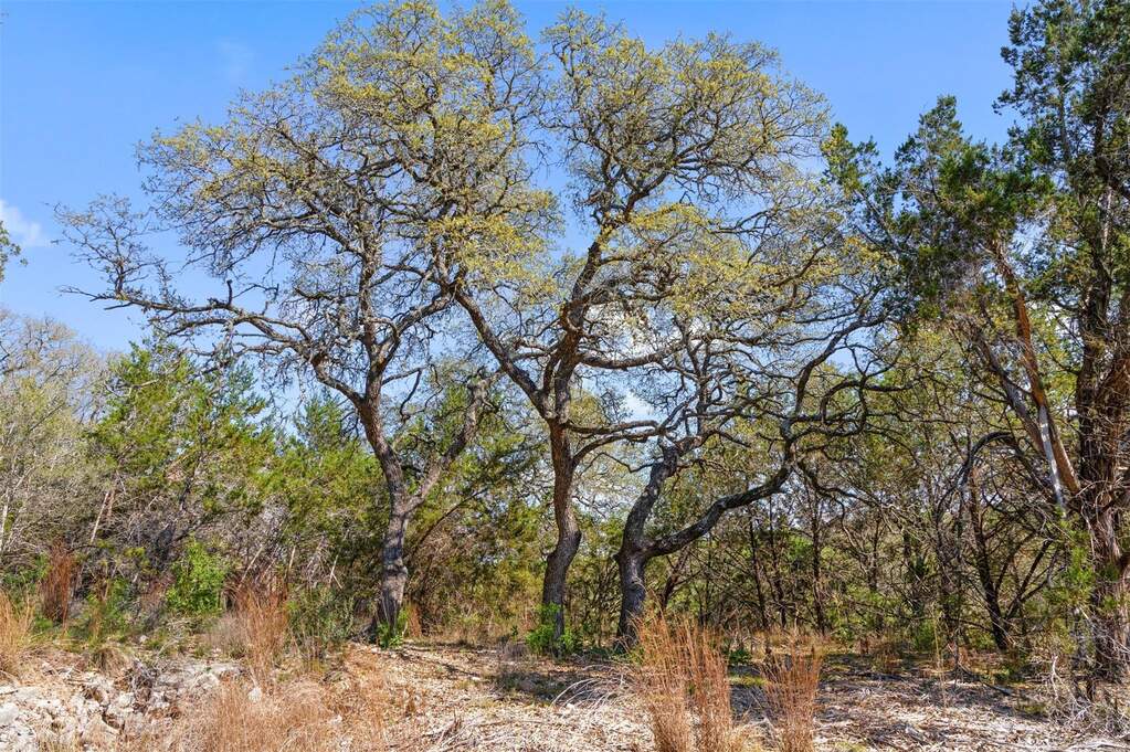 Land/Vacant Land's Image 19