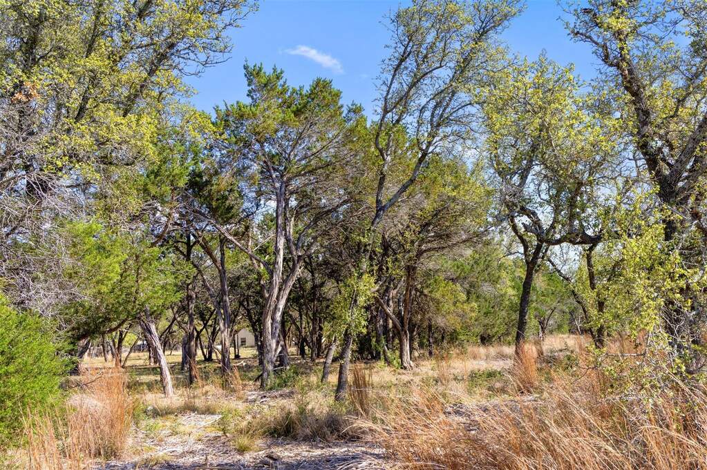 Land/Vacant Land's Image 8