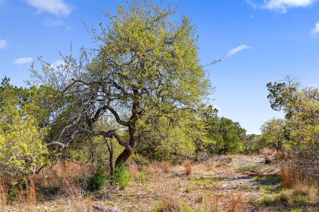 Land/Vacant Land's Image 9