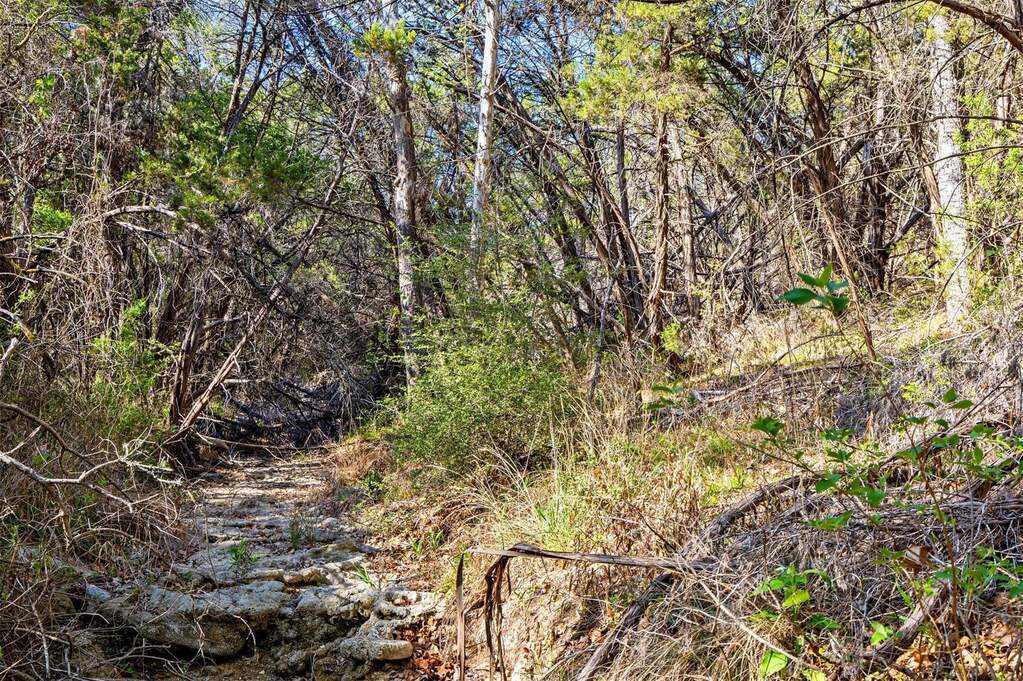 Land/Vacant Land's Image 11