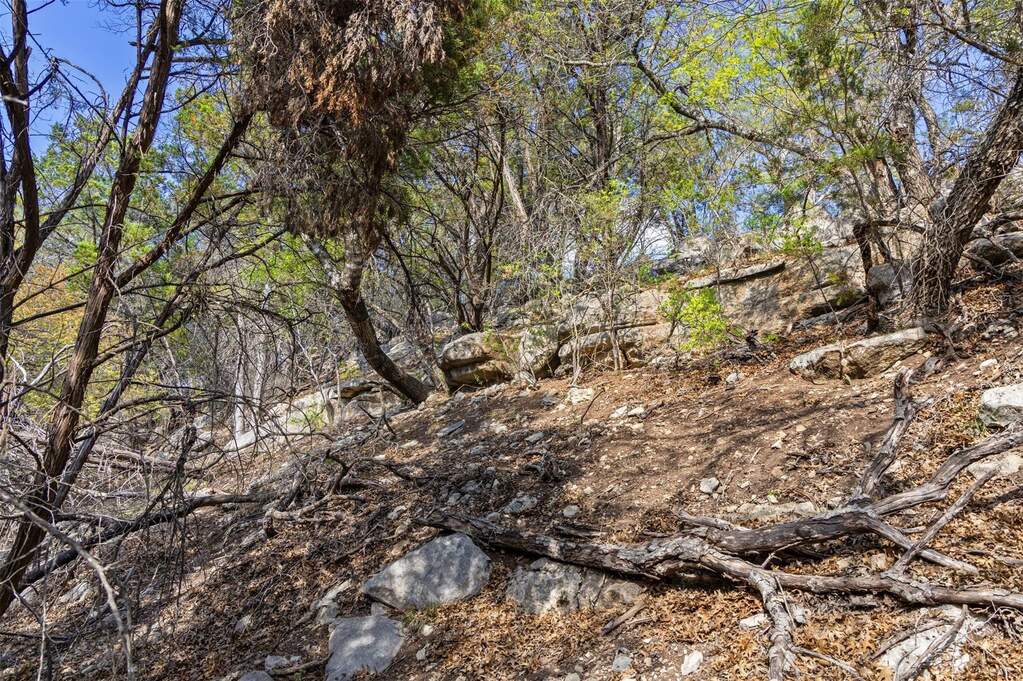 Land/Vacant Land's Image 12