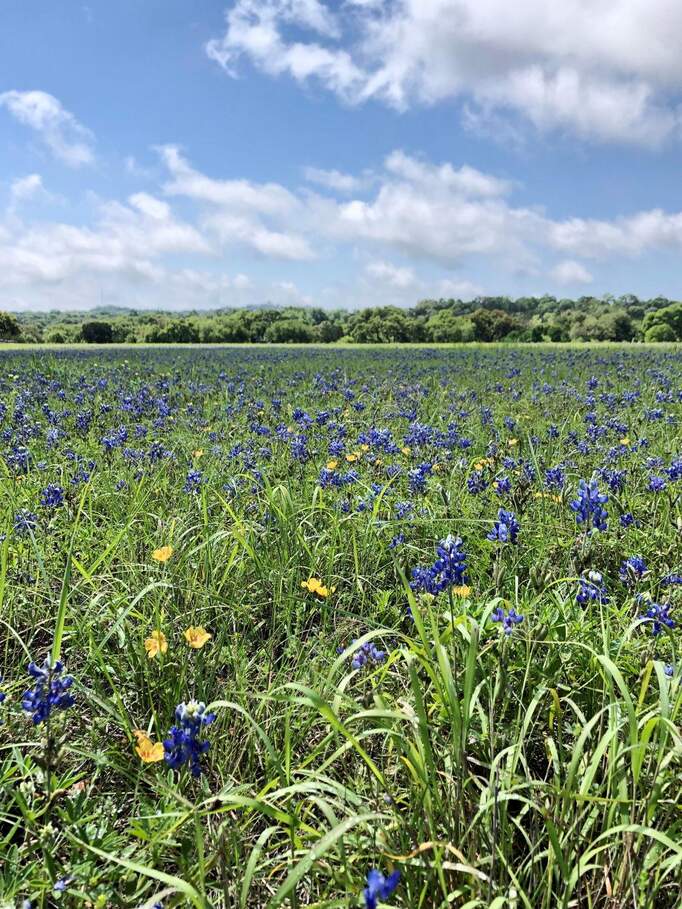 Farm/Ranch/Plantation's Image 3