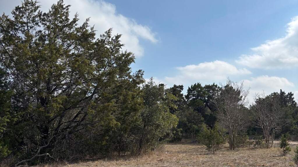View of undeveloped land