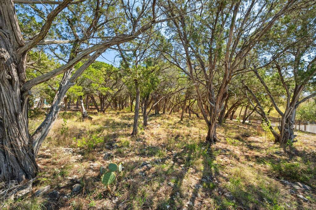Land/Vacant Land's Image 13