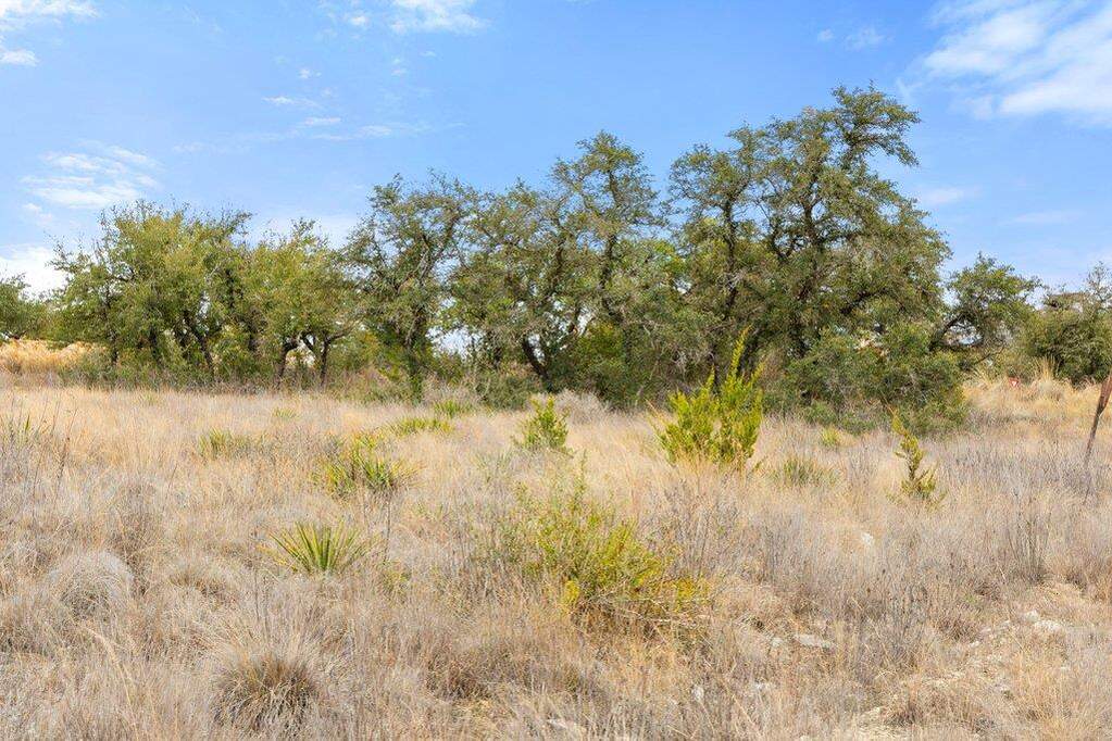 Land/Vacant Land's Image 11