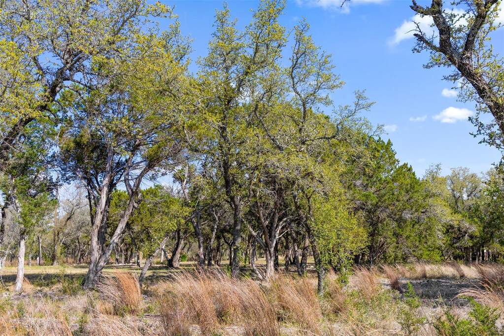 Land/Vacant Land's Image 15