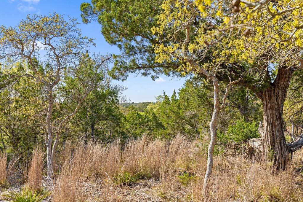 Land/Vacant Land's Image 24