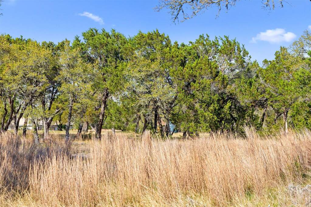 Land/Vacant Land's Image 25