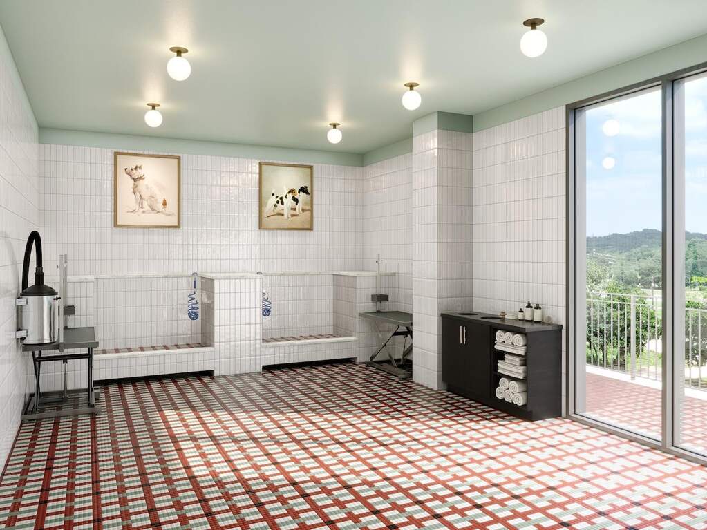 3 Bedroom Apartment/Flat's Image 3